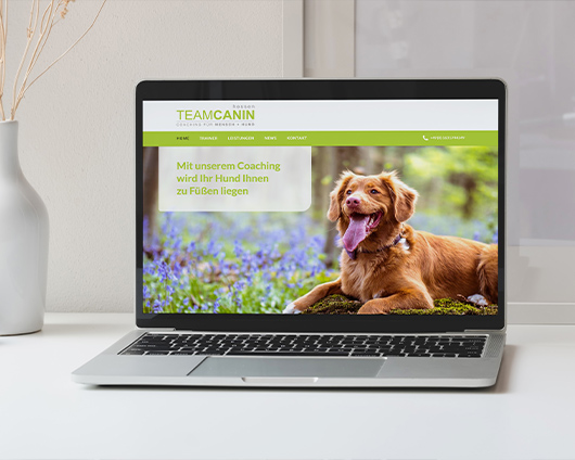 Teamcanin Hundeschule Hessen Webseite Mockup